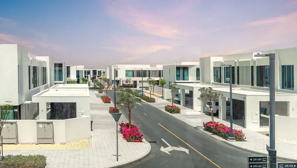 large_06_ad9e7672fa (1)